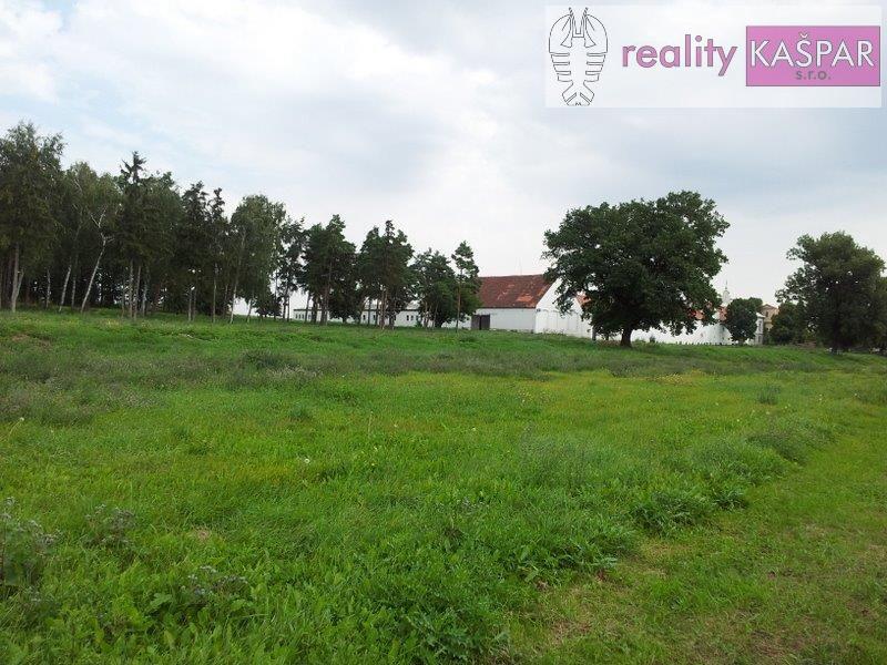 Veliká Ves (okres Chomutov) - prodej zemědělské farmy se zámeckým statkem a pozemky 4.5 ha, obrázek č.12