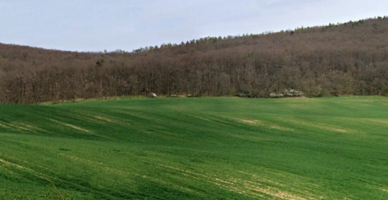 Pozemky - orná půda a les 2100 m2 Brno-Bosonohy, obrázek č. 3