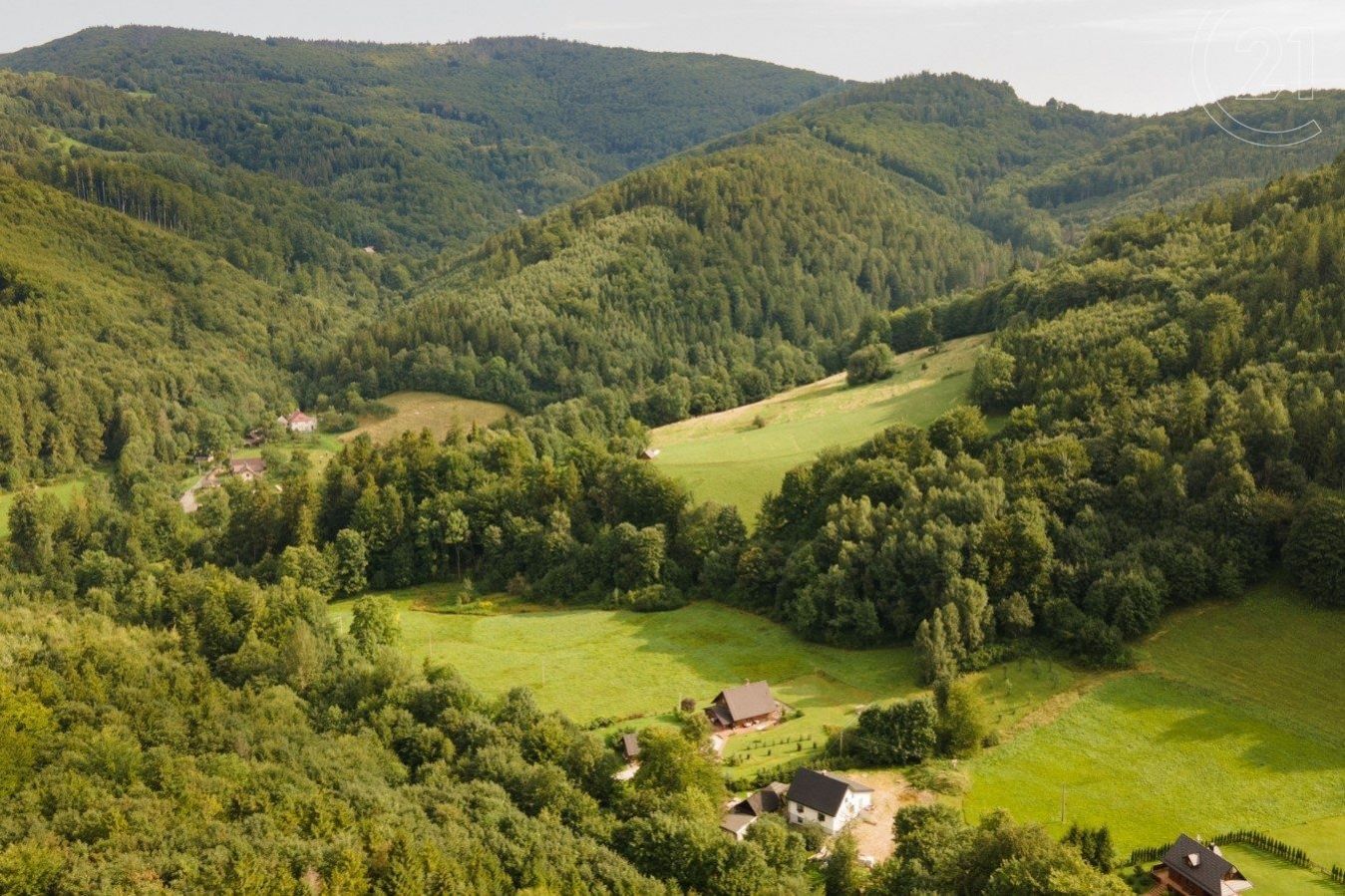 Prodej vzrostlého lesa o rozloze 30 906 m2 v obci Nýdek., obrázek č. 3