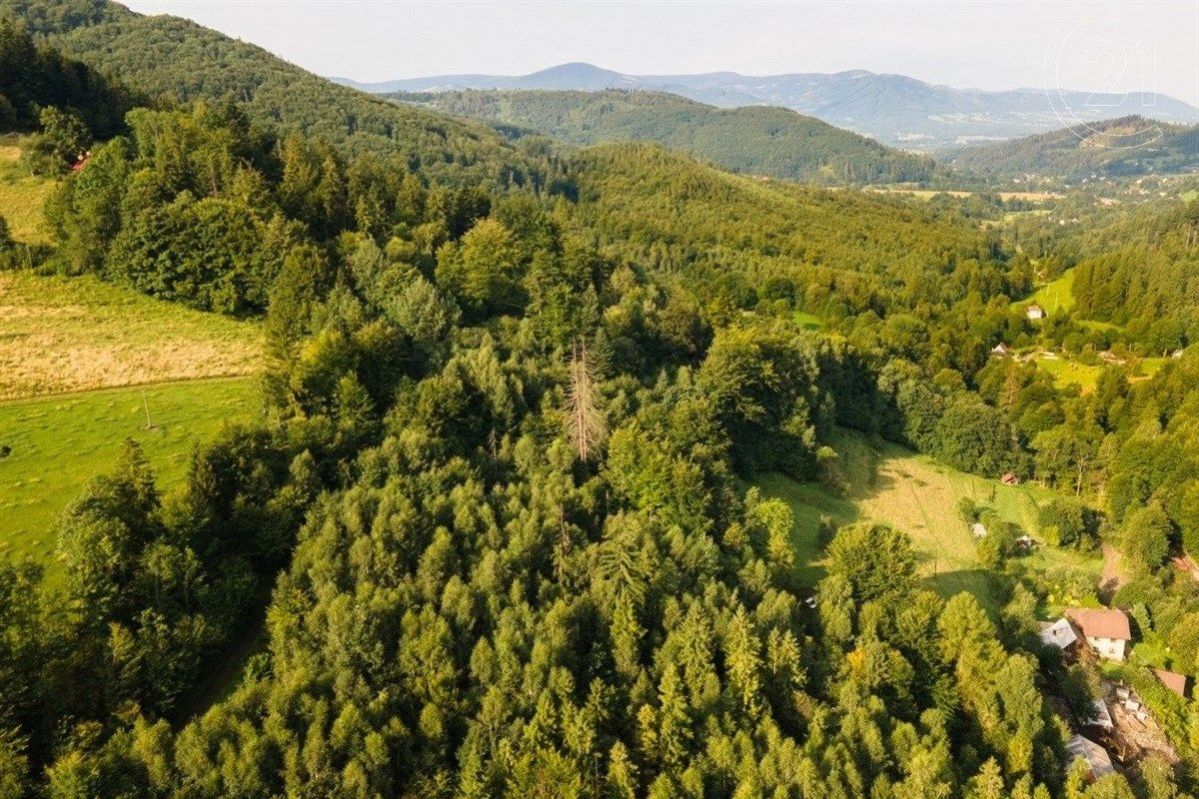 Prodej vzrostlého, udržovaného lesa, 20 558 m2, v obci Nýdek, obrázek č. 1