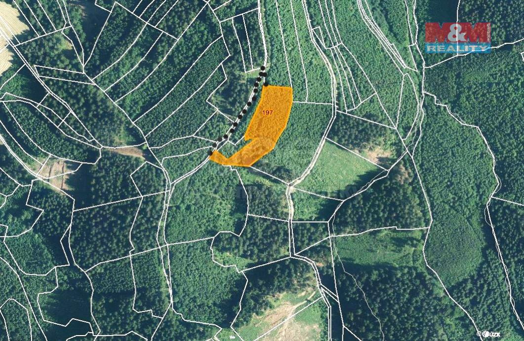 Prodej lesa, 8758 m, Lhota u Vsetína, obrázek č. 3