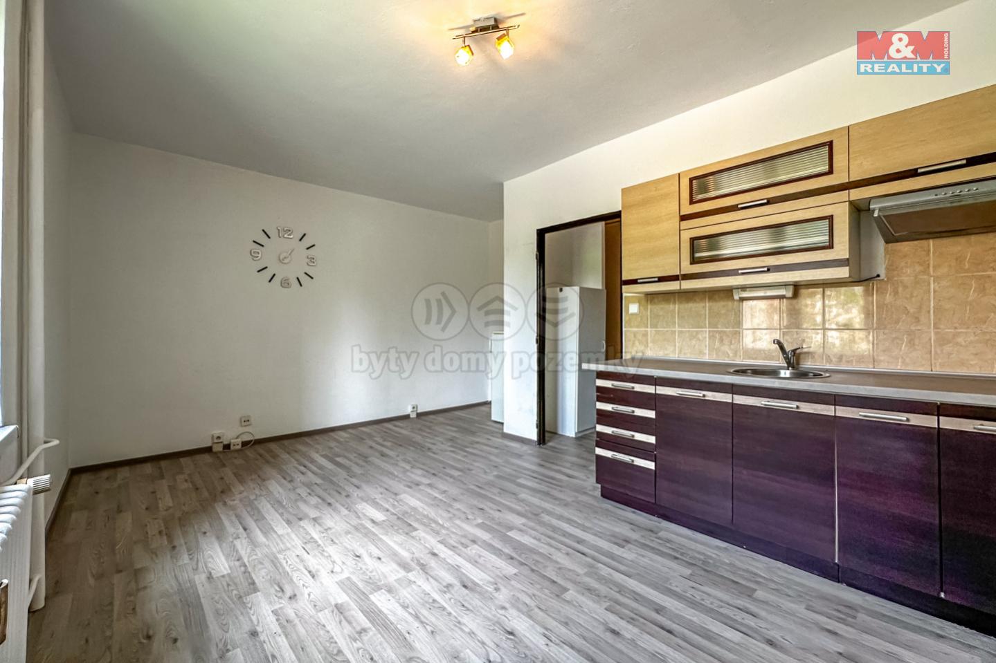Prodej bytu 1+kk, 25 m, Orlová, ul. Masarykova třída, obrázek č. 1