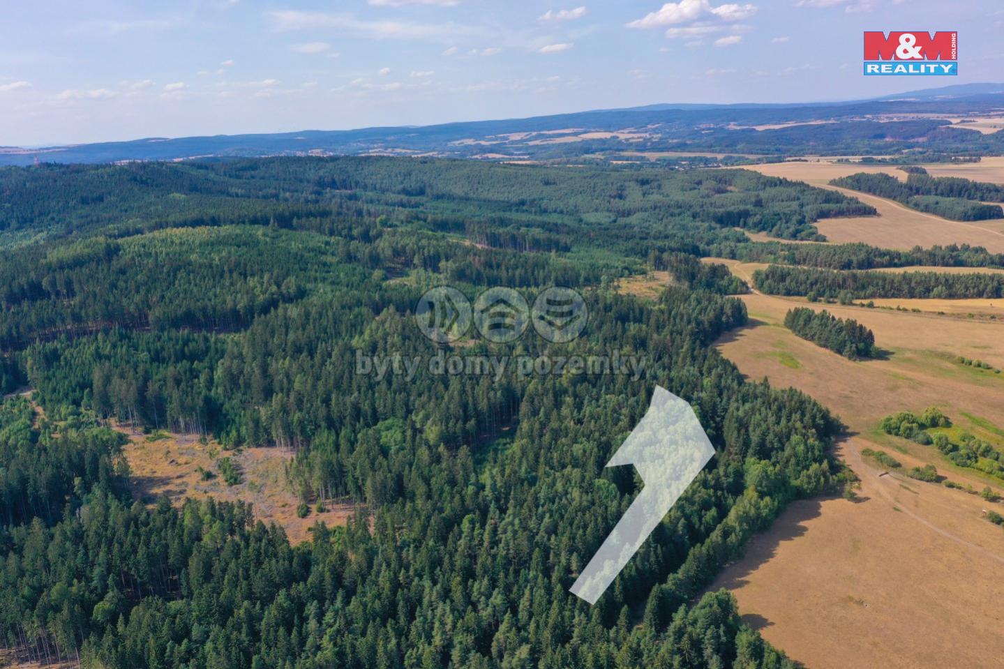 Prodej lesa, 7291 m, Dlouhý Újezd, obrázek č. 2