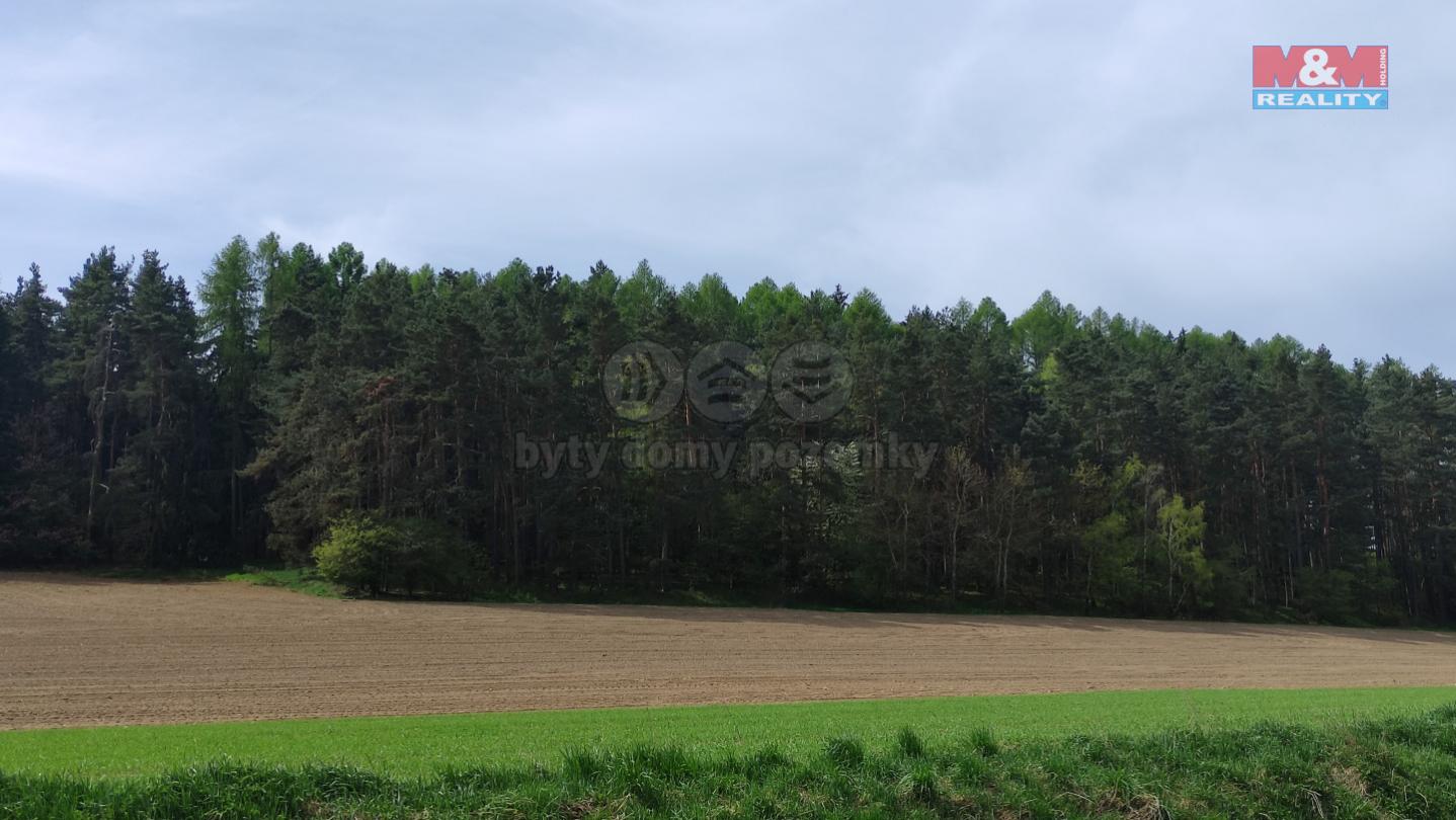 Prodej lesa, 7361 m, Litochovice a Neuslužice, obrázek č. 1