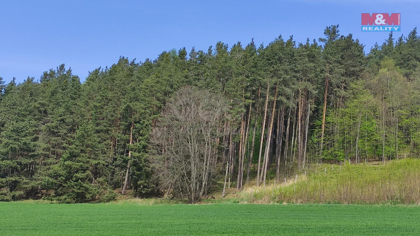 Prodej lesa, 7361 m, Litochovice a Neuslužice, obrázek č. 3