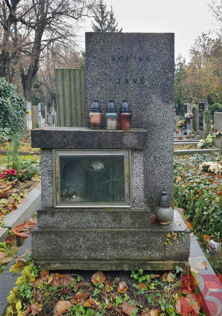 Hrob na Vinohradském hřbitově v Praze, obrázek č. 3