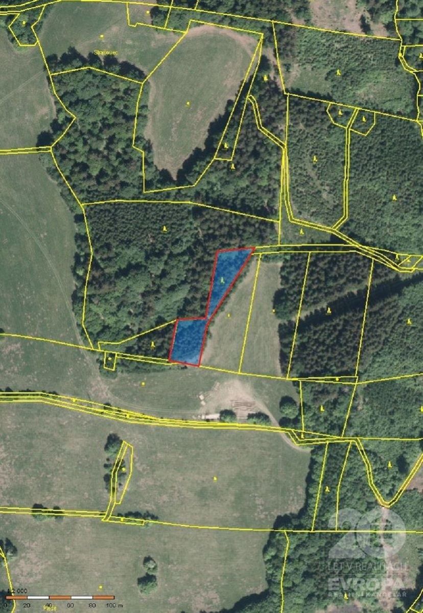 Prodej pozemku v obci Kounov  - lesní porost, trvalý travní porost o celkové výměře cca 10.000m2, obrázek č. 1
