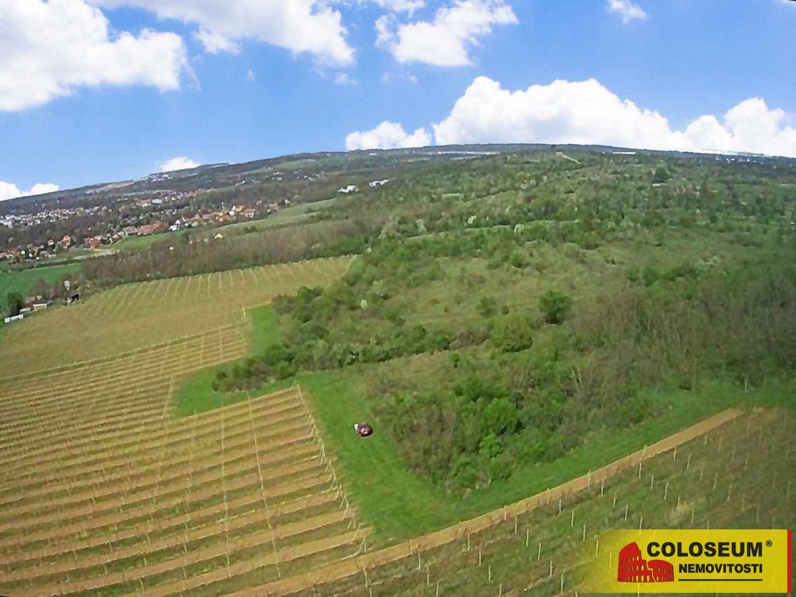 Znojmo  Oblekovice, vinice, trvalý travní porost, lesní pozemek, 16 843 m2  pozemek, obrázek č. 1