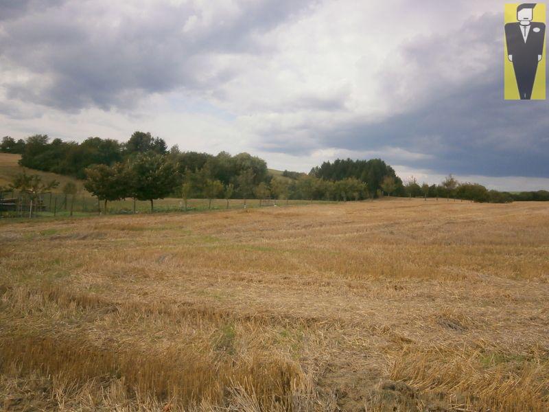 Prodej pozemku Horka nad Moravou, CP 3637, obrázek č. 2