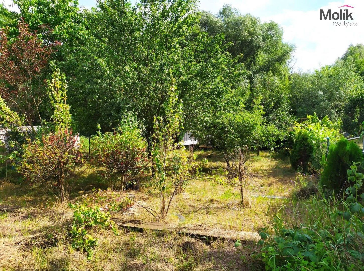 Zahrada 335 m2, Braňany, obrázek č. 3