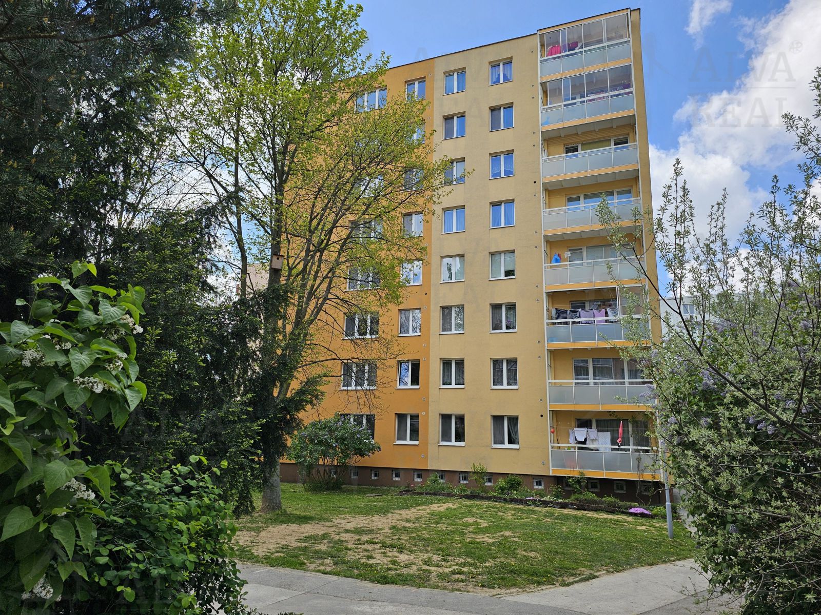 Prodej bytu 3+1 CP 77 m2 po rek. s balkónem v Líšni, ul. J. Faimonové, obrázek č. 1