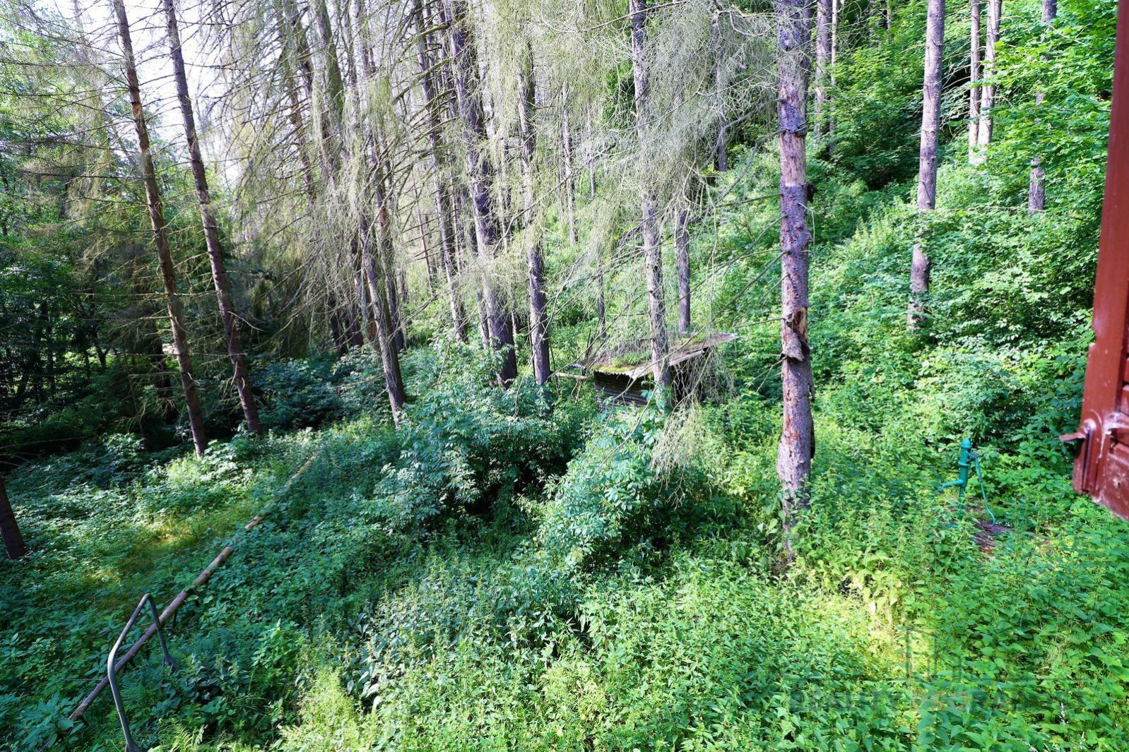 Prodej pozemku s chatou na polosamotě u lesa k modernizaci, obrázek č. 3