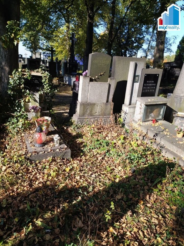 Prodej hrobu na Ústředním hřbitově v Plzni, obrázek č. 3