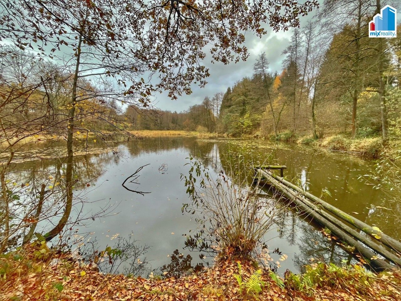 Prodej - Velký vísecký rybník o výměře 14 487 m2 u obce Čmelíny, okres Plzeň - jih, obrázek č. 2