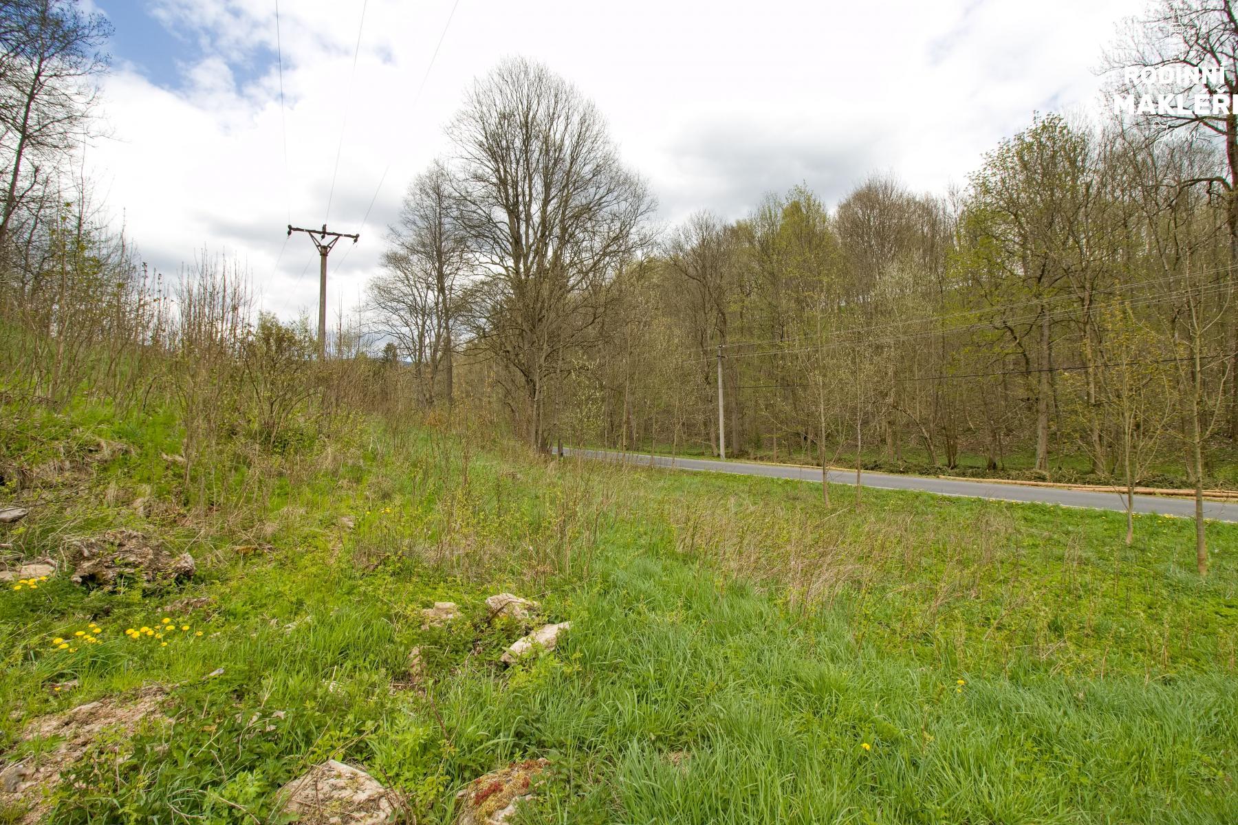 Trvalý travní porost, Malá Morava, okr. Šumperk, obrázek č. 2
