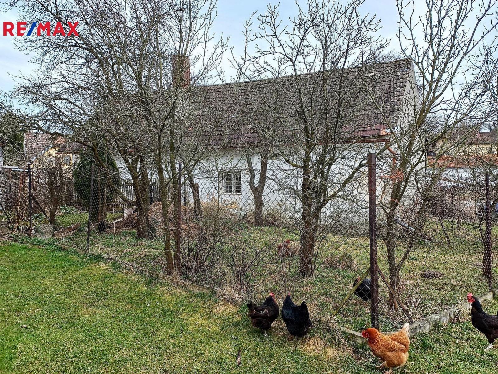 Venkovská chalupa se zahradou a stodolou 415 m2 v  Onšovicích u Čkyně v předhůří Šumavy., obrázek č. 3