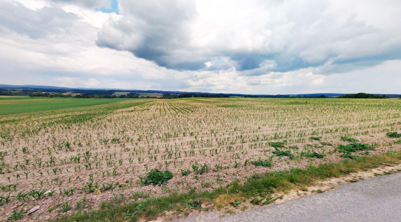 Zemědělská půda, prodej, Lukavice, Rychnov nad Kněžnou, obrázek č. 2