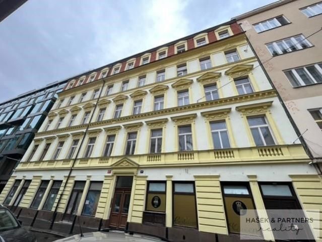 Prodej bytu 1+kk, 14m2, ul. Nekázanka, Praha 1, obrázek č. 2