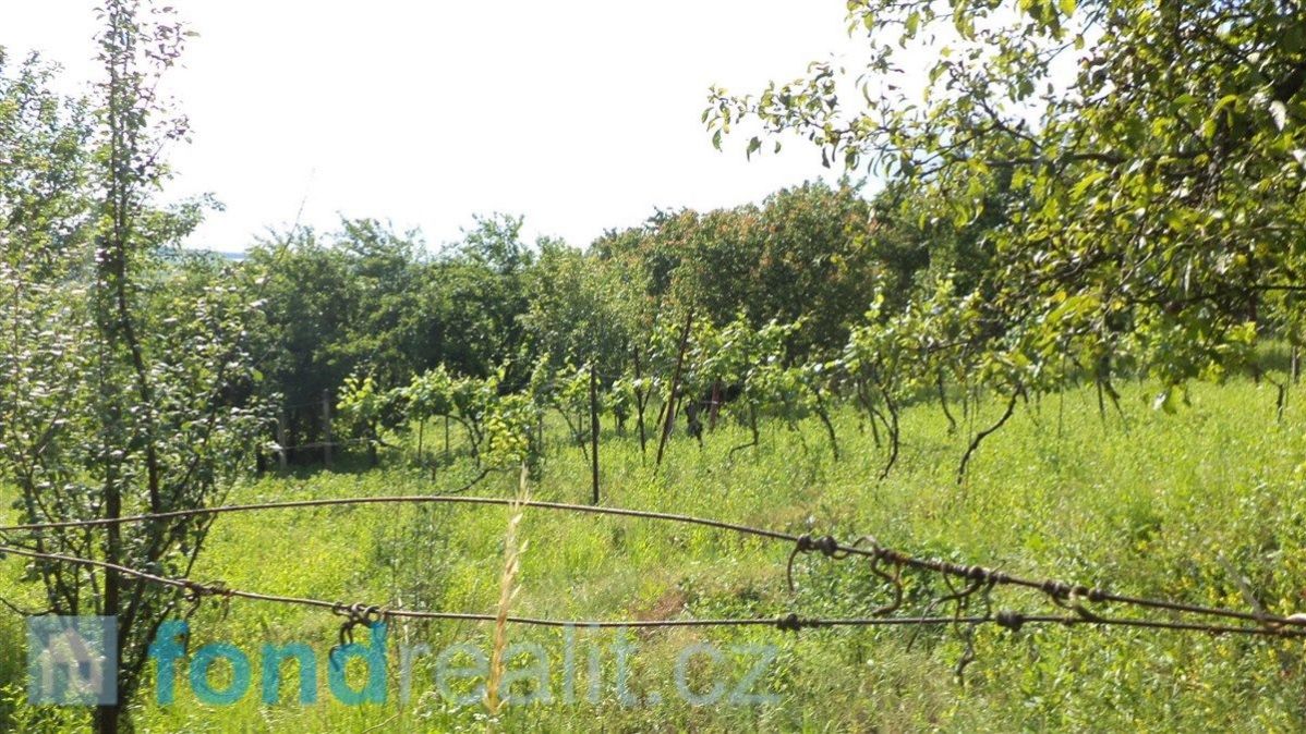 Prodej pozemků Bohuslavice u Kyjova, obrázek č. 1