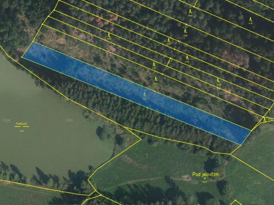 Lesní pozemek o výměře 4998 m2, podíl 1/1, k.ú. Kamberk, okres Benešov, obrázek č. 2