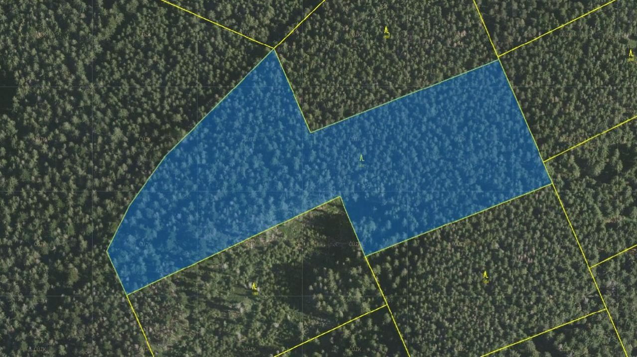 Lesní pozemek o výměře 25 229 m2, podíl 1/1, k.ú. Stachy, okres Prachatice, obrázek č. 2