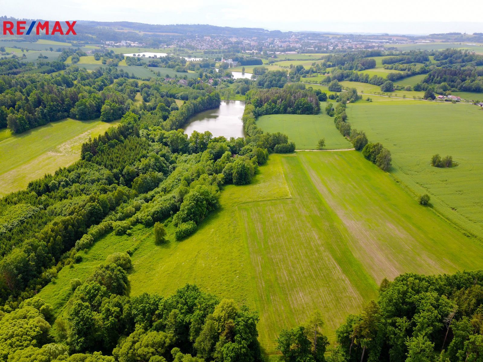 Prodej souboru pozemků o velikosti 19 ha na samotě s historickým mlýnem, lesem a rybníkem - Vysočina, obrázek č. 3