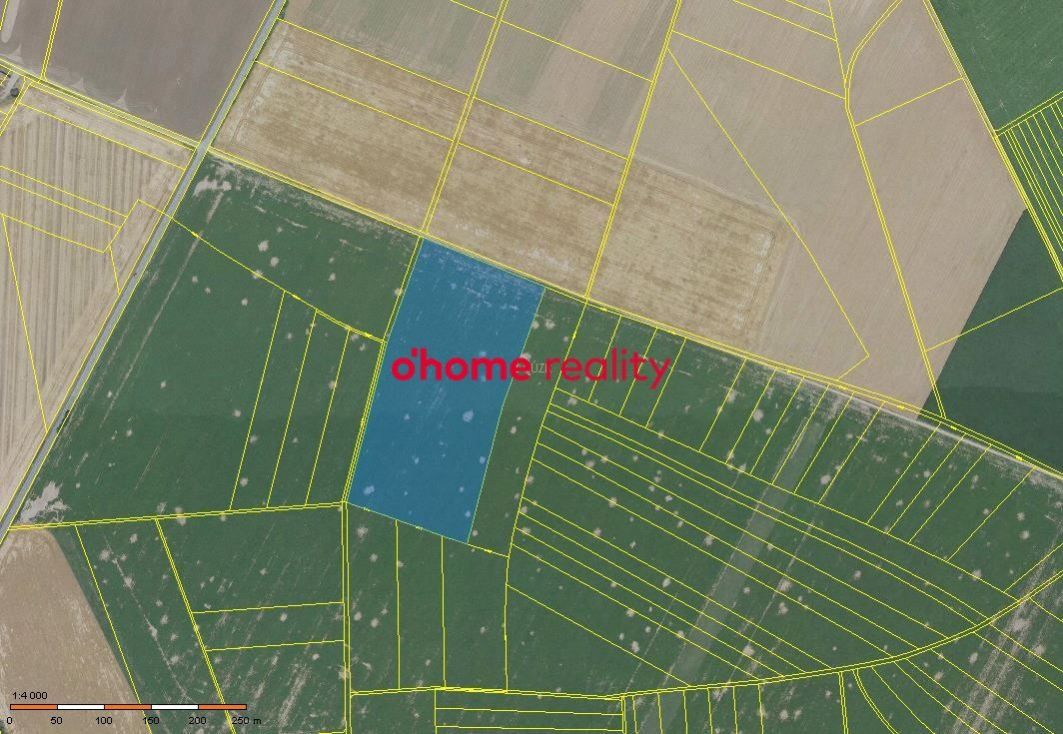 Prodej, Zemědělská půda, 39414 m2 - Křelov-Břuchotín, obrázek č. 1