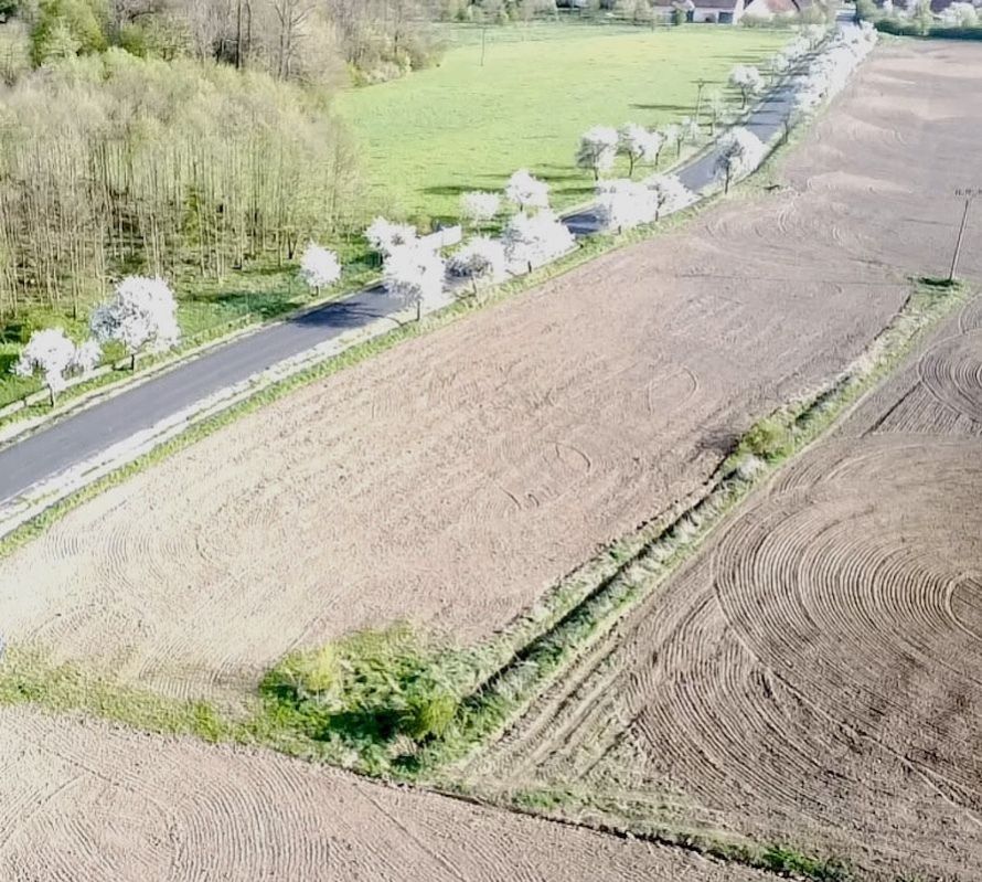 Prodej prostorného a částečně zasíťovaného stavebního pozemku o výměře 1167 m v obci Lozice, obrázek č. 1