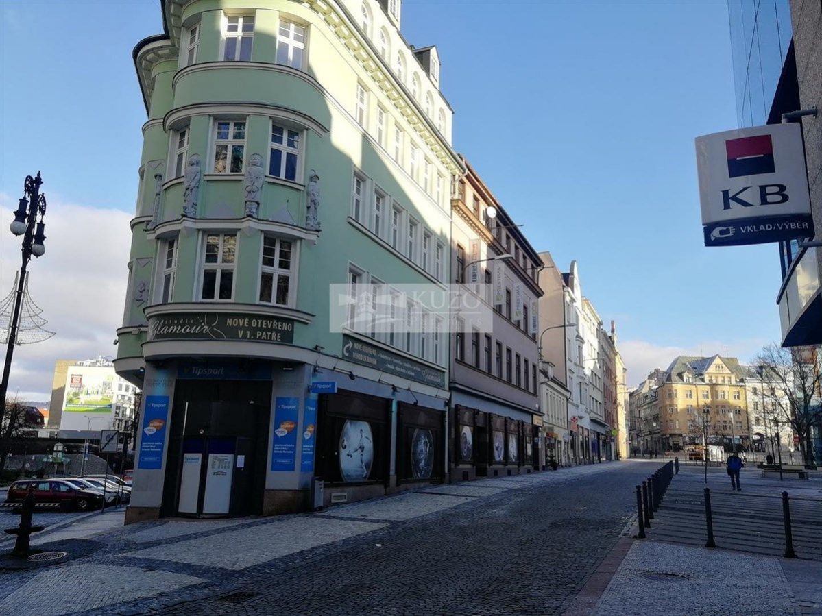 Pronájem bytu 1+1, Liberec - centrum, obrázek č. 2