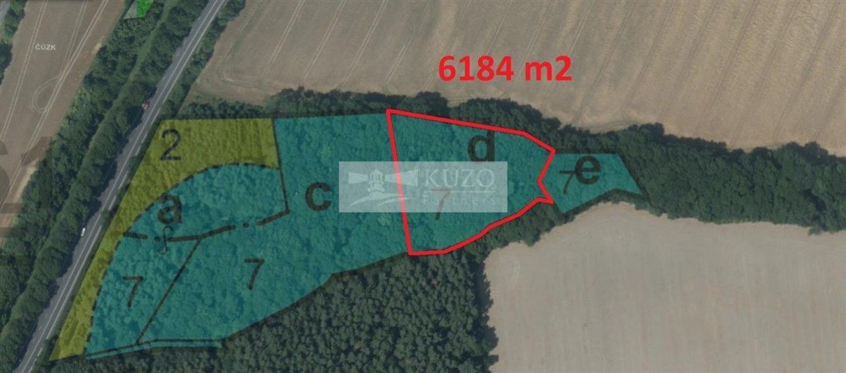 Lesní pozemek 0,6 ha v obci Mohelnice. Zdravý, smíšený porost- 75 let, plné zakmenění, obrázek č. 1