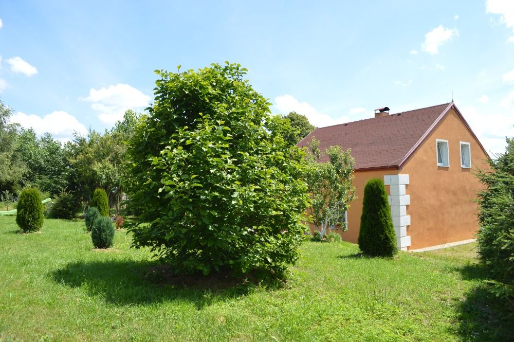 Prodej rodinného domu se zahradou v Semtěši u Žlutic, obrázek č. 2