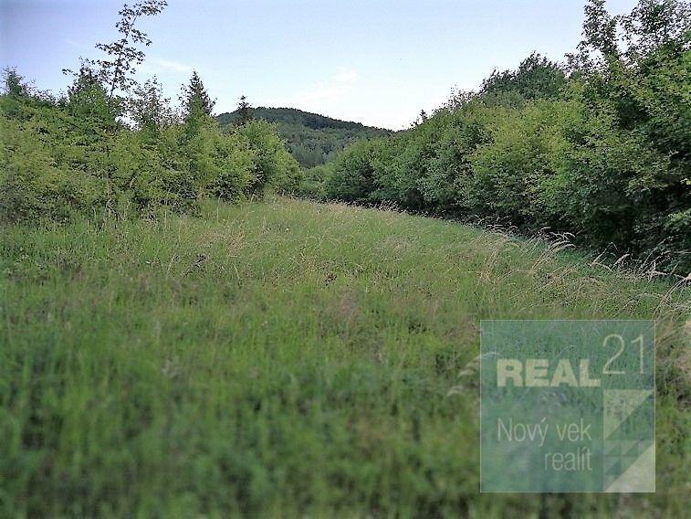 Ponúkame na predaj pozemok v obci Milochov s krásnym výhľadom na Nosickú priehradu, obrázek č. 3