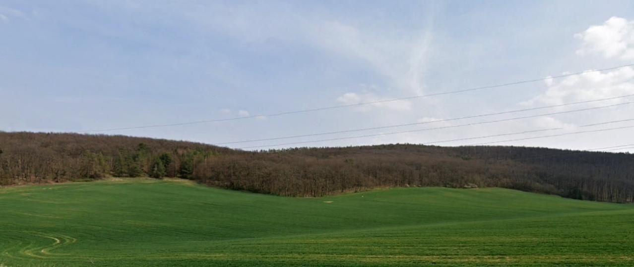 Pozemky - orná půda a les 2100 m2 Brno-Bosonohy, obrázek č. 1