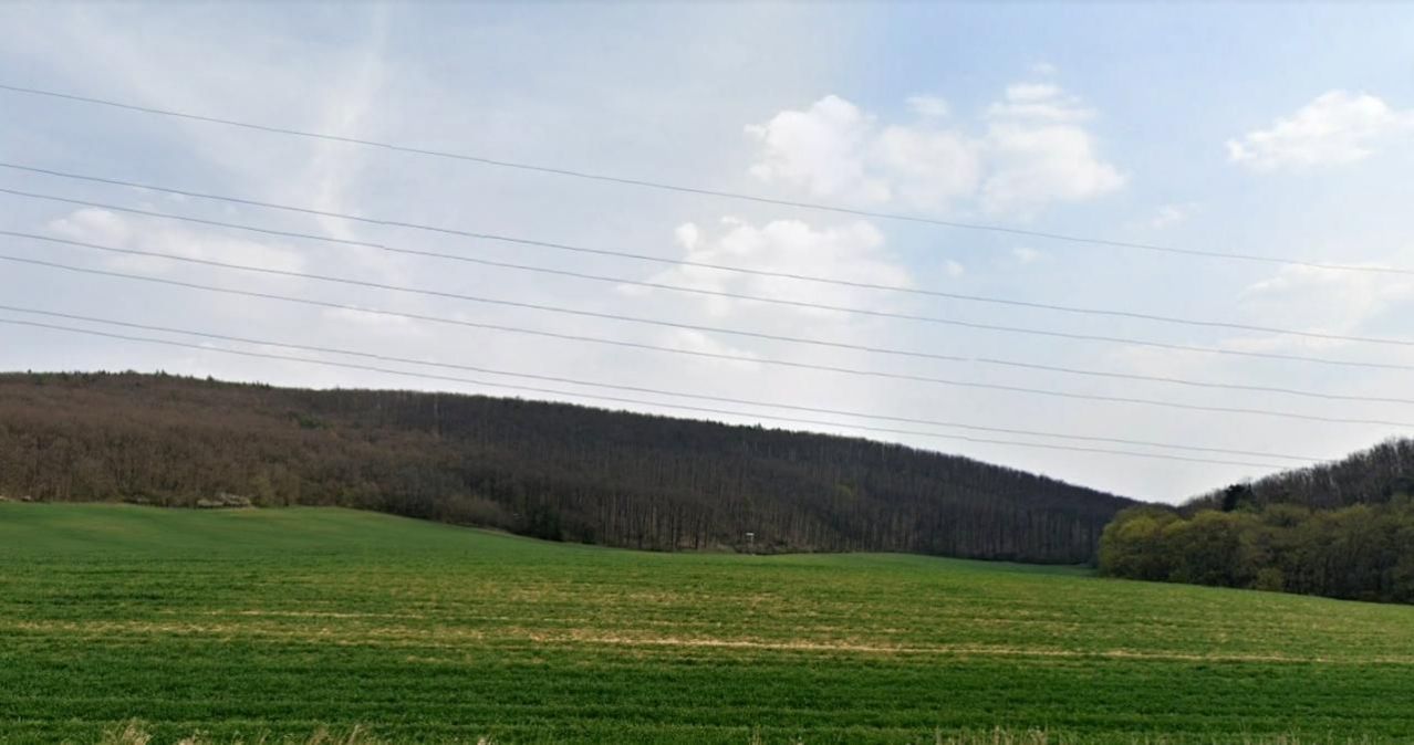 Pozemky - orná půda a les 2100 m2 Brno-Bosonohy, obrázek č. 2