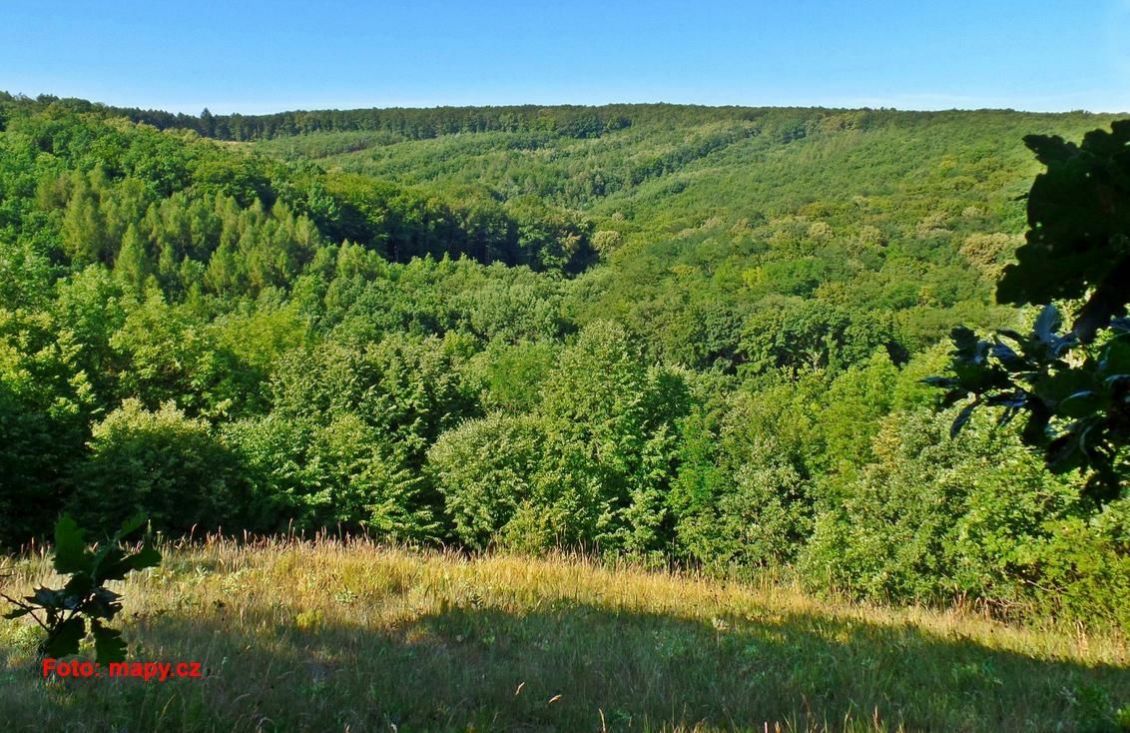 Lesní pozemky 2288 m2 - Morkůvky, okres Břeclav, obrázek č. 1