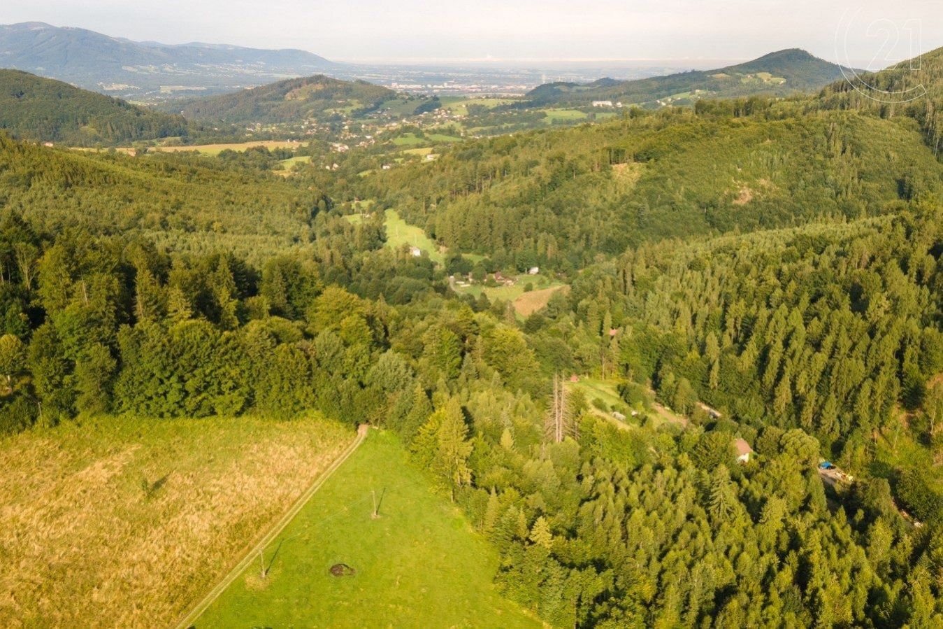 Prodej vzrostlého, udržovaného lesa, 20 558 m2, v obci Nýdek, obrázek č. 2
