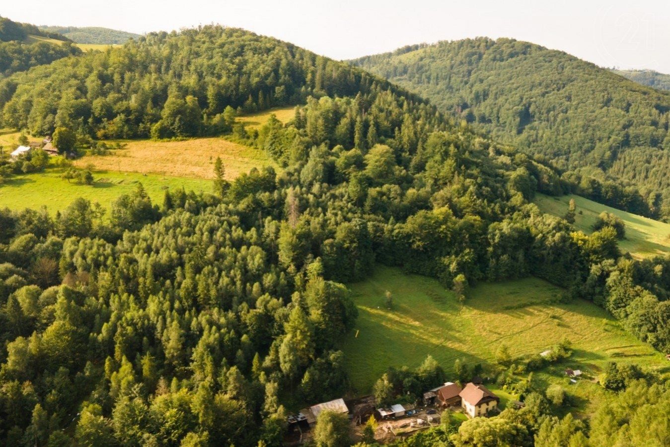 Prodej vzrostlého, udržovaného lesa, 20 558 m2, v obci Nýdek, obrázek č. 3