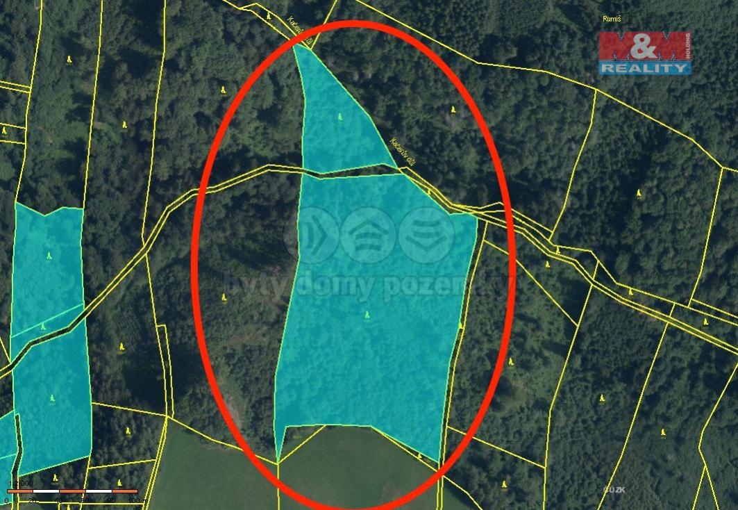 Prodej lesa, 29330 m, Horní Studénky, obrázek č. 3