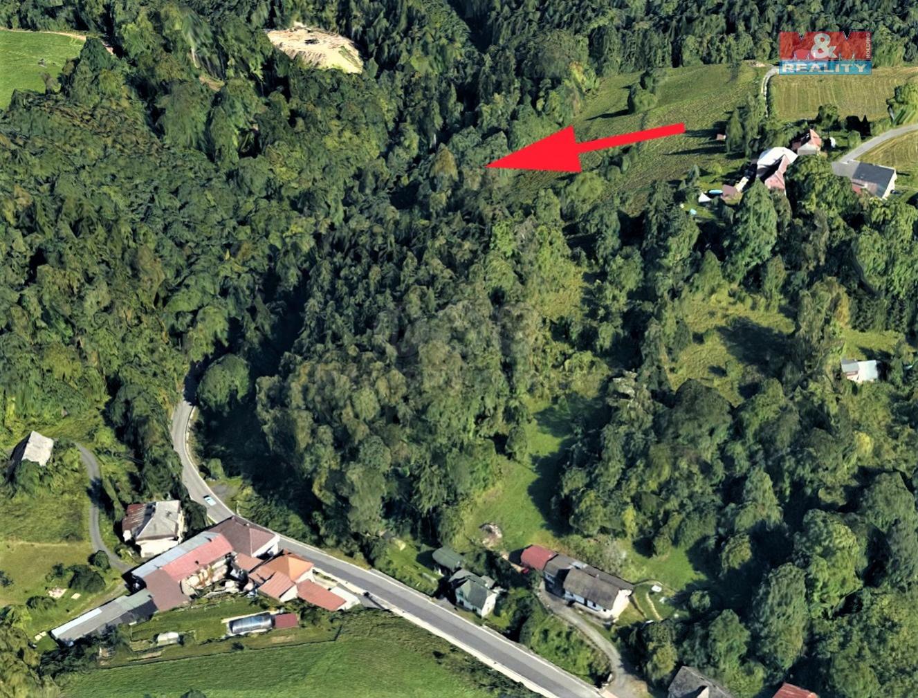 Prodej lesa, 987 m, Koberovy, obrázek č. 1