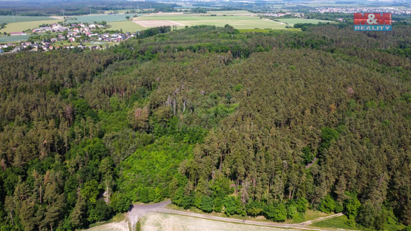 Prodej lesa, 100175 m2, Bítouchov, okr. Mladá Boleslav, obrázek č. 3