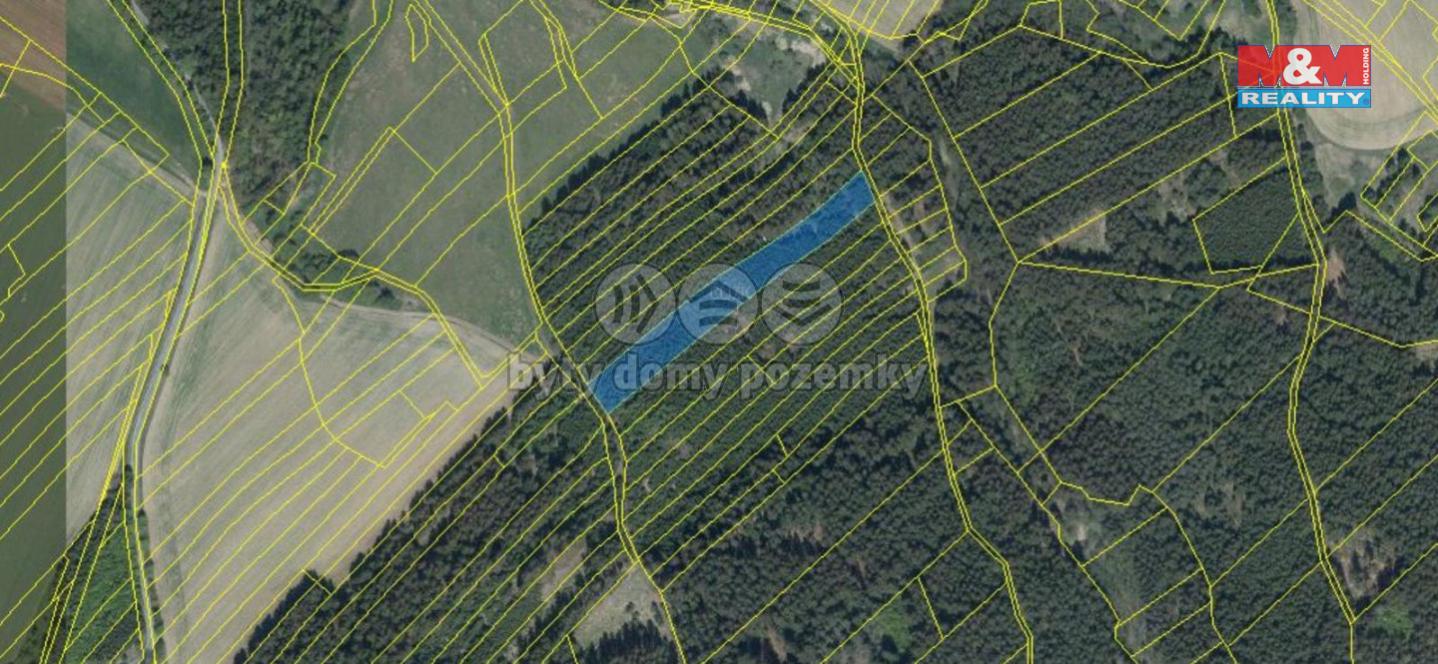 Prodej lesa, 36627 m, Černovice, obrázek č. 3