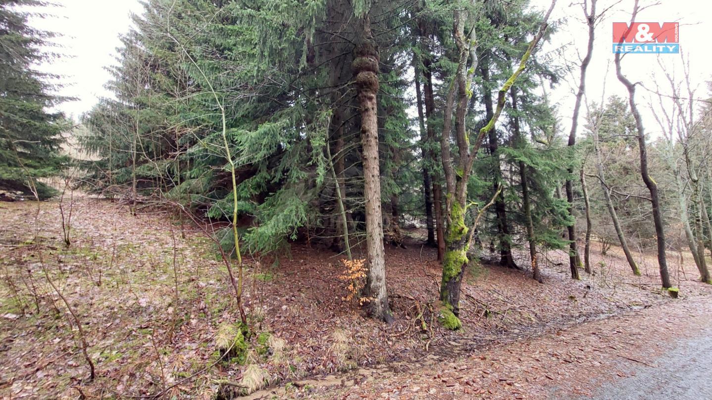Prodej lesa, 941 m, Horní Halže, obrázek č. 3