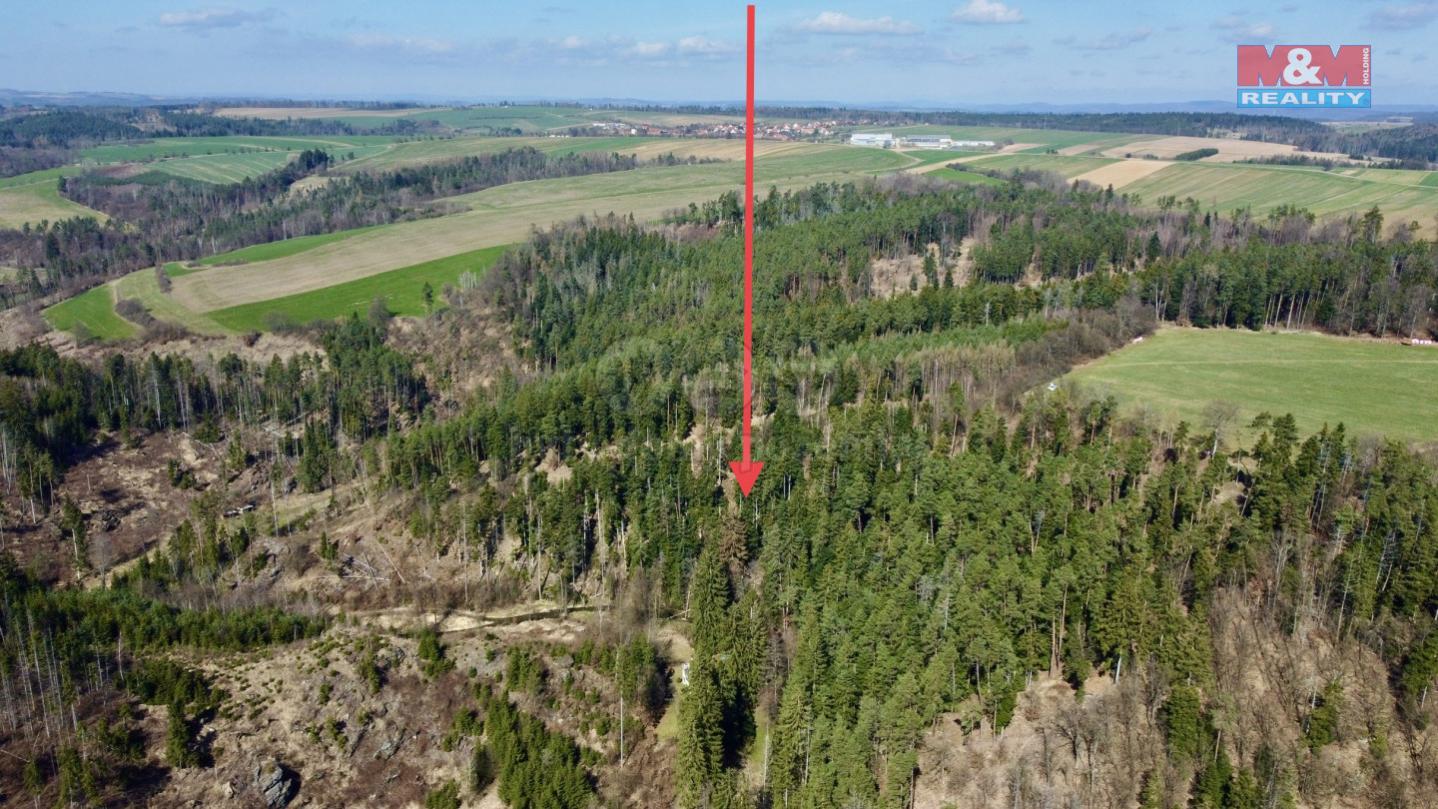 Prodej lesa, 16835 m, Svatoslav, obrázek č. 2