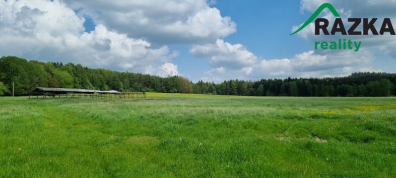 Zemědělská půda 64 ha Hošťka, Bohuslav, obrázek č.9