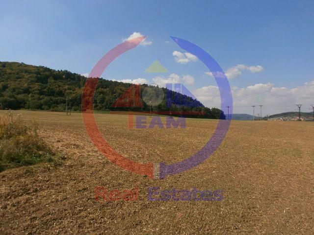 Prodej pozemku 2 685 m2, zemědělská půda, Drásov (okres Brno-venkov)