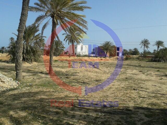 Prodej pozemku 2400 m2, Tezdain, Djerba, Tunis