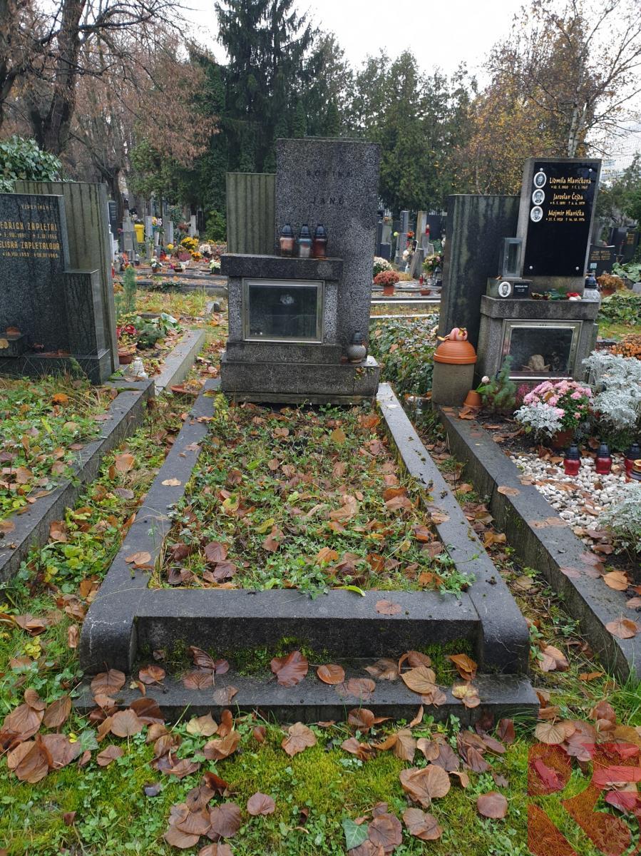 Hrob na Vinohradském hřbitově v Praze, obrázek č. 2