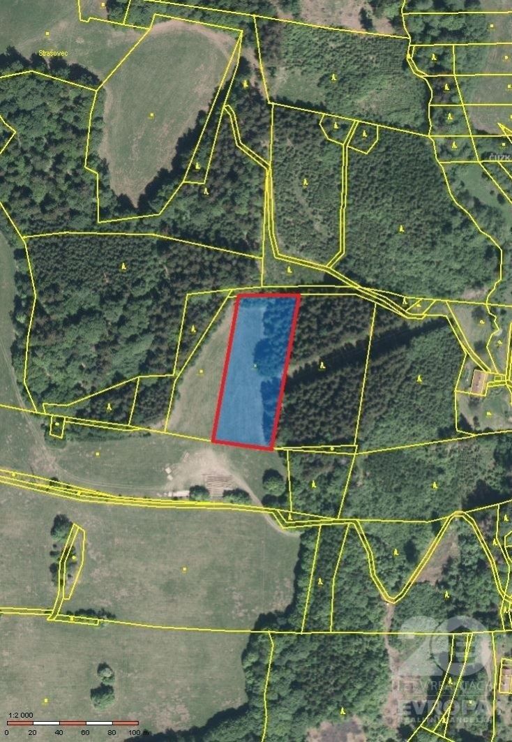 Prodej pozemku v obci Kounov  - lesní porost, trvalý travní porost o celkové výměře cca 10.000m2, obrázek č. 2