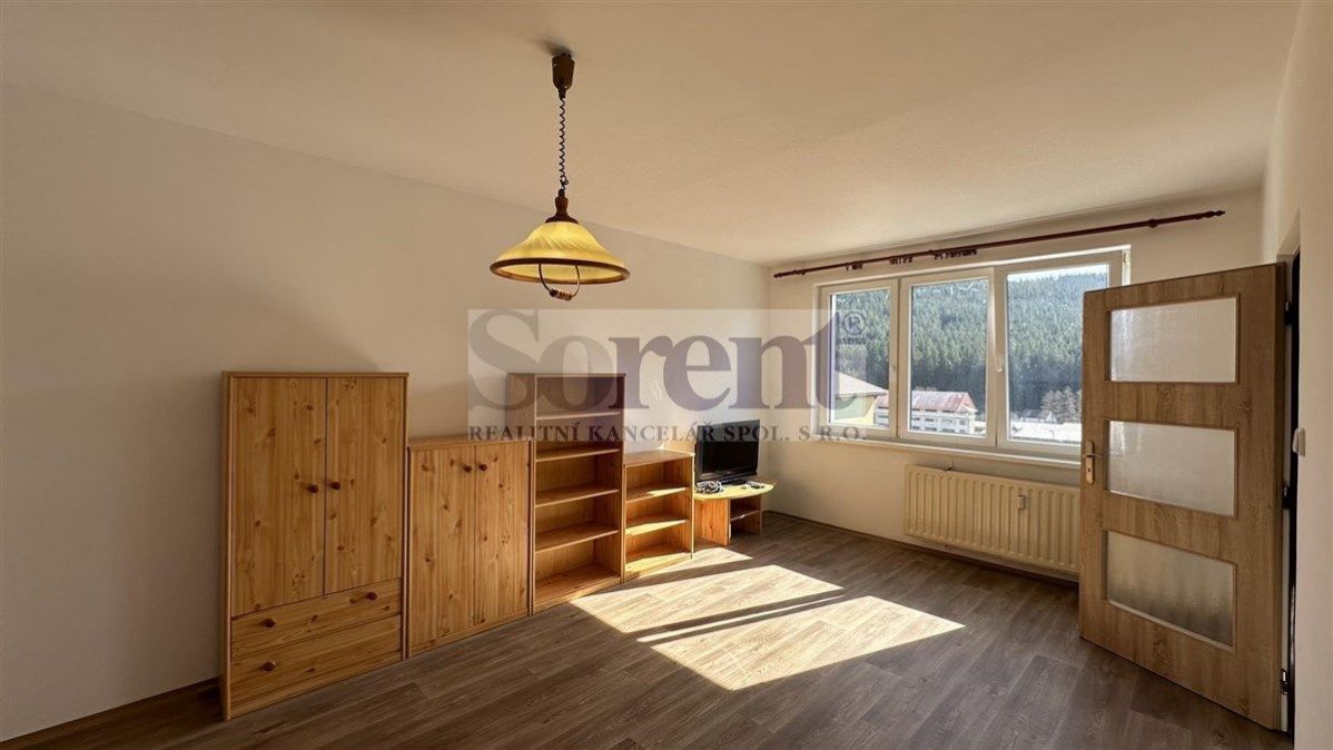 Prodej bytu 1+1 po rekonstrukci, 3 km od Lipenské přehrady., obrázek č. 3