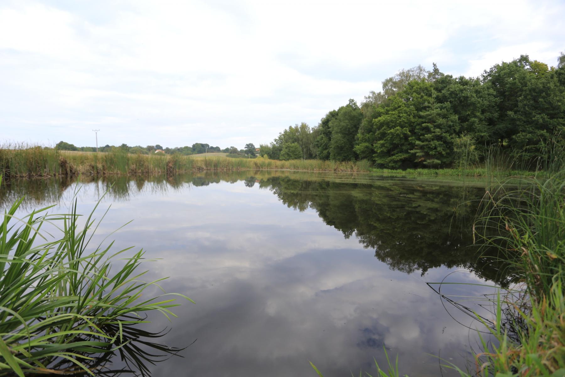 Prodej rybníku 0,9 ha v k.ú. Tochovice s 1 ha přilehlých pozemků, obrázek č. 3
